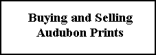 Buying and Selling Audubon Prints